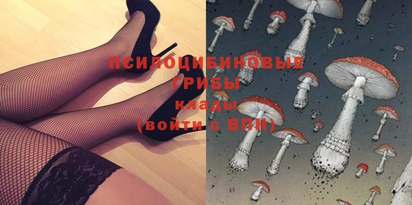 гидра Алзамай