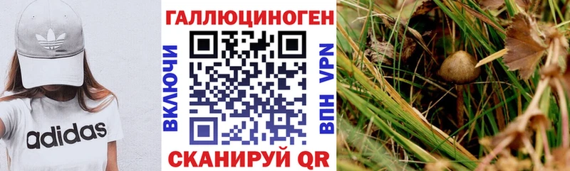 Галлюциногенные грибы прущие грибы  Нижний Ломов 